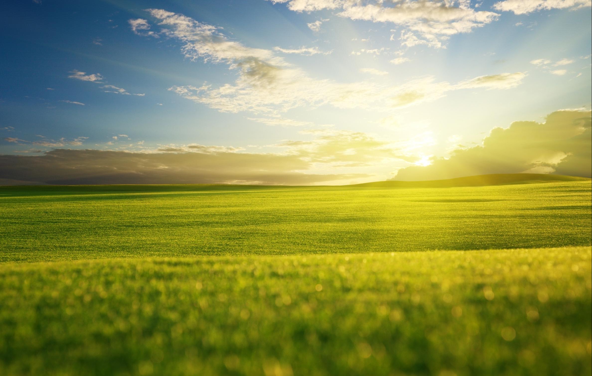 东财在线学生社区 - 阳光热线 - 为什么机考不能考了